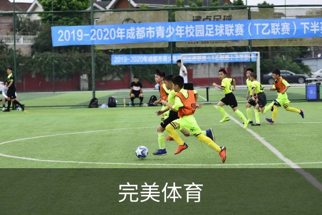完美体育公司简介
